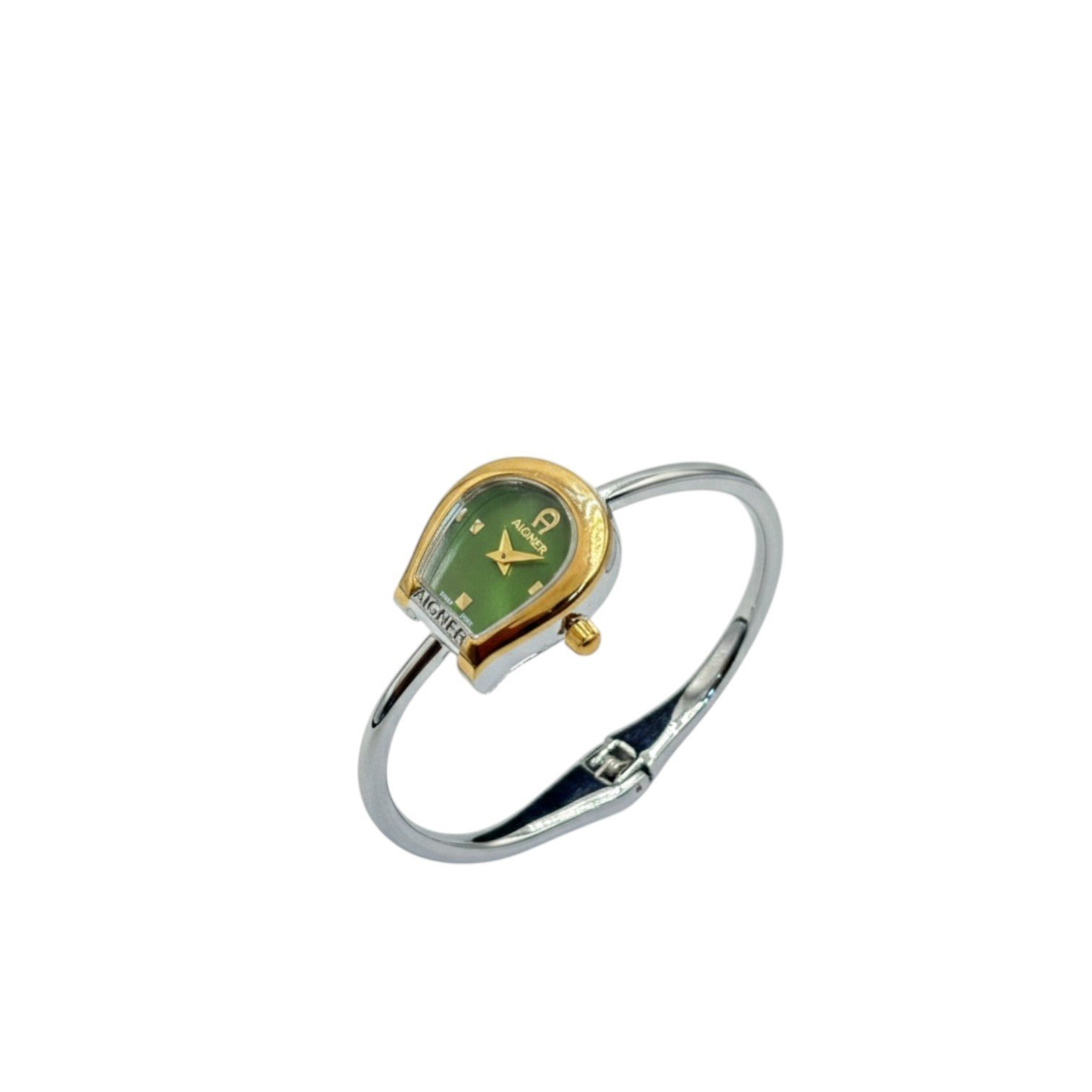Gemini_Generated_Image_60omig60omig60om.jpg Aig.ner Flora Women's watch - Image 1