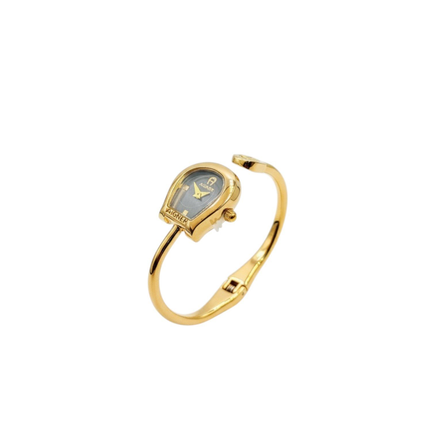 Gemini_Generated_Image_jyrncwjyrncwjyrn.jpg Aig.ner Flora Women's watch - Image 1