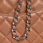 CHANEL 25S MINI FLAP BAG 18 IN DARK CARAMEL CALFSKIN - Image 18