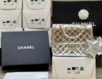 25S CHANEL STAR SILVER 23 IN METALLIC SILVER CALFSKIN - Image 18