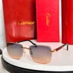 SANTOS ROUND FRAME SUNGLASSES 524480 IN METAL AND WOODEN - Image 6