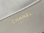 CC 25 HANDBAG IN GRAY 40 SUEDE CALFSKIN GOLD HARDWARE - Image 18