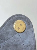 CC 25 HANDBAG IN GREY 30 SUEDE GOLD HARDWARE - Image 11