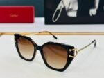 C DE BUTTERFLY FRAME SUNGLASSES 530154 IN METAL AND ACETATE - Image 10