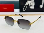 PANTHÈRE RIMLESS GEOMETRIC FRAME SUNGLASSES CT0504S IN METAL - Image 6