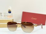 PREMIÈRE GEOMETRIC FRAME SUNGLASSES CT0621S IN METAL AND WOODEN - Image 2