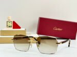 PREMIÈRE GEOMETRIC FRAME SUNGLASSES 530303 IN METAL AND WOODEN - Image 13