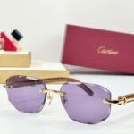 C DE GEOMETRIC FRAME SUNGLASSES CT0606S IN METAL AND WOODEN