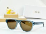 MONTAIGNE SUNGLASS DIORFLAG2 IN ACETATE - Image 16