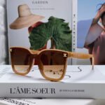 TRIOMPHE SUNGLASSES 552774 IN CARAMEL ACETATE TEXT LOGO - Image 9