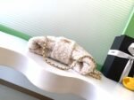 CHANEL 25S BOW BAG 26 IN CREAM WHITE TWEED WITH GOLD HARDWARE - Image 16