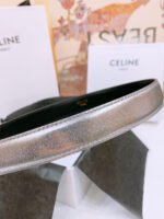 CELINE 25S BELT 25MM WITH ARC DE TRIOMPHE BUCKLE IN SILVER 571498 - Image 12