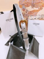 CELINE 25S BELT 25MM WITH ARC DE TRIOMPHE BUCKLE IN SILVER 571498 - Image 2