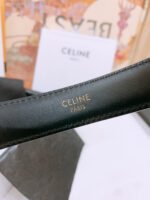 CELINE 25S BELT 25MM WITH ARC DE TRIOMPHE BUCKLE IN SILVER 571498 - Image 5